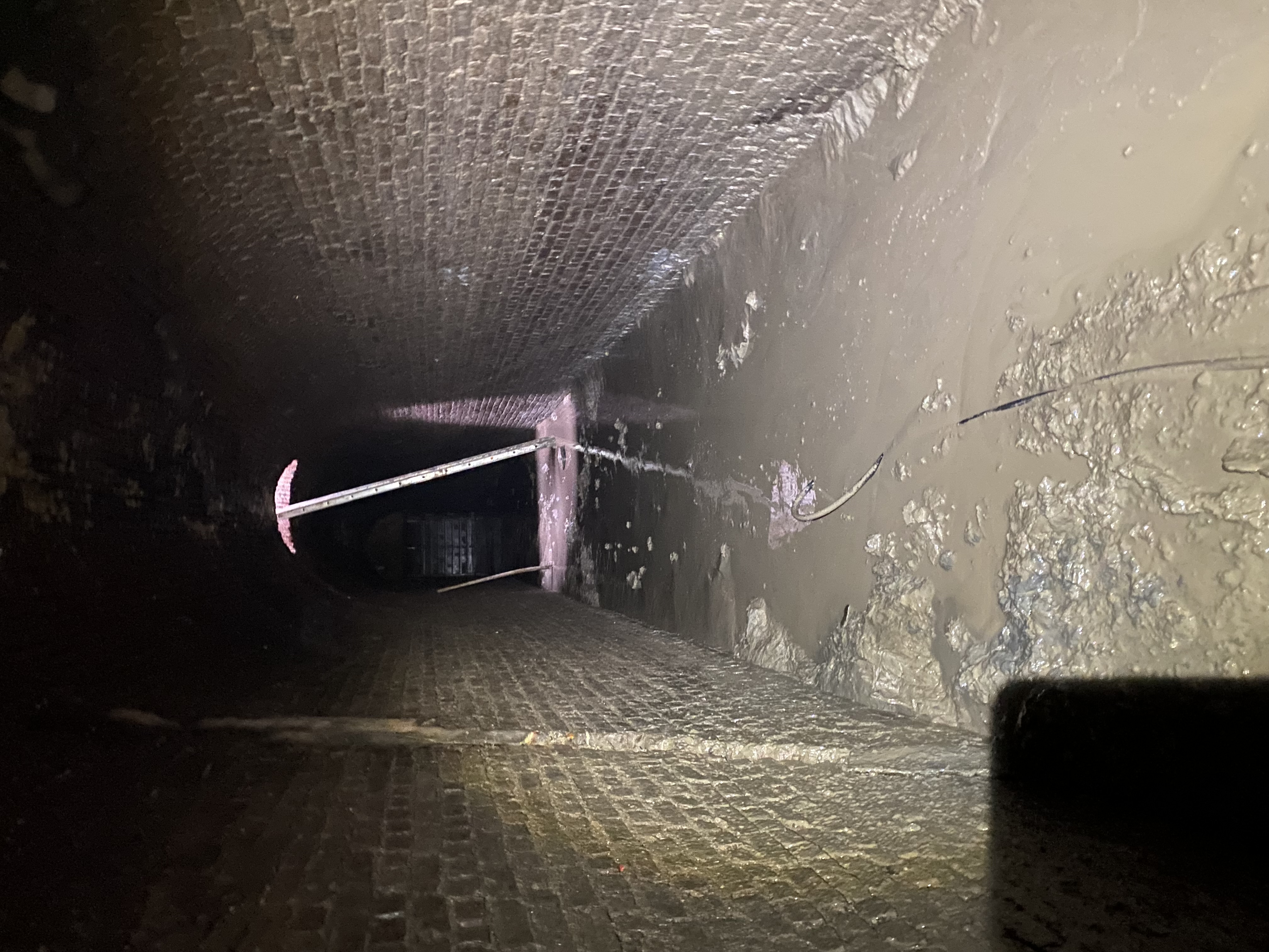 Voor interventie Antwerpse Ruien